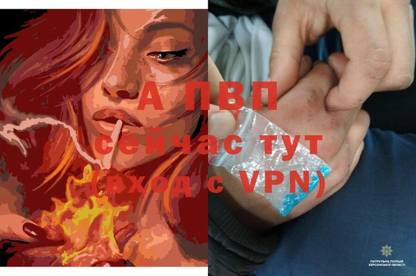 молекула духа Баксан