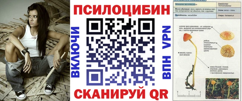 Псилоцибиновые грибы GOLDEN TEACHER Великие Луки